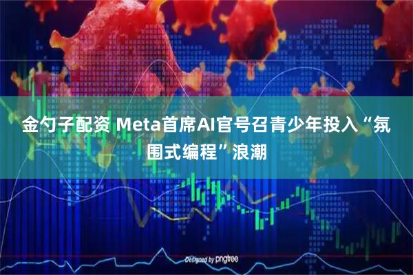 金勺子配资 Meta首席AI官号召青少年投入“氛围式编程”浪潮