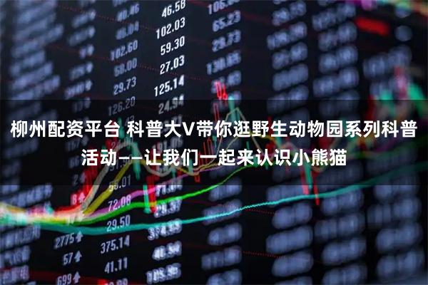 柳州配资平台 科普大V带你逛野生动物园系列科普活动——让我们一起来认识小熊猫